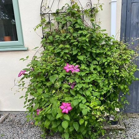 Rural Cosy Retreat For Two Near Port Isaac Leilighet Delabole Eksteriør bilde